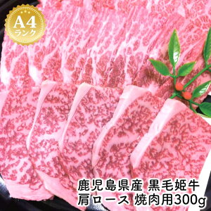 A4oYyY ѕP [X ēp300gzјa  a  ē wh Y A4 ~ 蕨  Mtg jp v[g  Mtg ̍ 