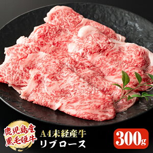 A4oYyY ѕP u[X XCX300gz yY a  Xe[L wh Y A4 ~ 蕨  Mtg jp v[g  Mtg 