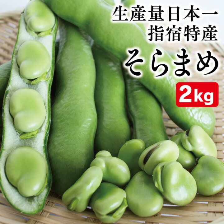 楽天市場 指宿特産 カカオを肥料に育ったそら豆2kg 鹿児島県指宿市山川産 そらまめ ソラマメ 指宿特産品ショップ