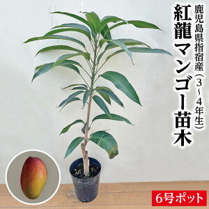 Viׁyg}S[c1{ 3`4N 6|bgcz whY }S[c c REE}S[ g REE RE[}S[ Mtg Yi Yi wh