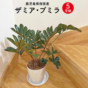 U~Av~ 5TCYi50cmj ϗtA whY Y wh O[ ϗt A U~A U~AEv~ Mtg Yi Yi whYi