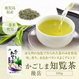 煎茶 後岳 100g 鹿児島茶 日本茶 お茶 緑茶 茶葉 知覧 鹿児島 ギフト プレゼント お取り寄せ ポスト投函便 送料無料