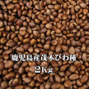 т^l f Yт 2Kg f т̎  _r (Ⓚ) ߘa7NY