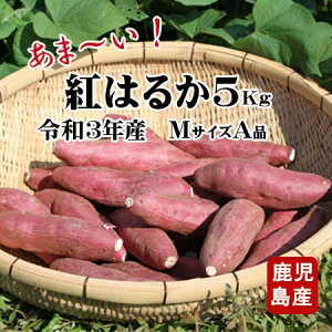 さつまいも 5kgの人気商品 通販 価格比較 価格 Com