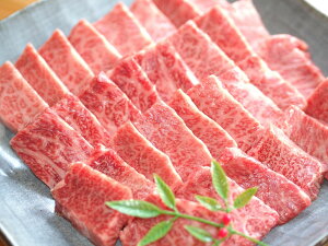  јa Opo200g+[X200g ēZbg Y ѕP