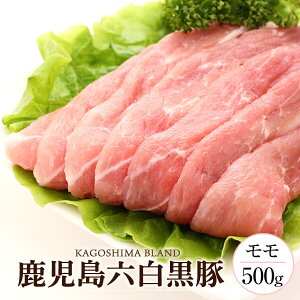  Ԃ  500g  ܍ Ԃԓ Ă  ؓ ؂ ؃Vu   Mtg v[g