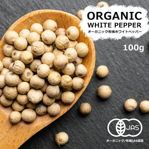 I[KjbN zCgybp[ z[ 100g L@JASF ō XJY zCgyp[ z[ L@ I[KjbN Ӟ 傤 _ XpCX R͔|