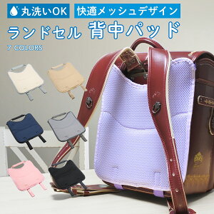 hZ wpbh wbVpbh ې􂢉\ Ȃ ΍ 􂦂   ʋC ʊw wZ w j̎q ̎q bVf NbV  w w q 