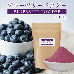 ブルーベリーパウダー 100g ブルーベリーパウダー 粉末 スプレードライパウダー ブルーベリー果汁 ポーランド産 ヨーグルト スムージー ジュース お菓子作り 材料 アントシアニン カリウム