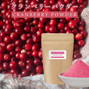 Nx[pE_[ 100g Nx[ Xv[hCpE_[ `Y ʏ` [Og X[W[ W[X َq ޗ |tFm[ r^~E Li_ yN`