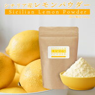 【楽天ランキング1位受賞】レモンパウダー 100g シチリア レモン 粉末 スプレードライパウダー れもん 檸…