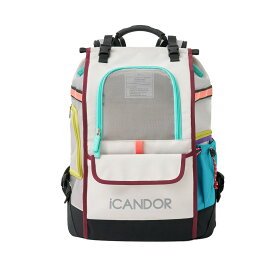[iCANDOR]ジゲバッグ グレー JIGE BAG GRAY送料無料 ペットキャリーバッグ 犬用キャリーバッグ 猫用キャリーバッグ ペットバッグ お出かけ用ペットバッグ 小型犬キャリー ペット移動バッグ 犬猫兼用 ペット用キャリー おしゃれペットバッグ