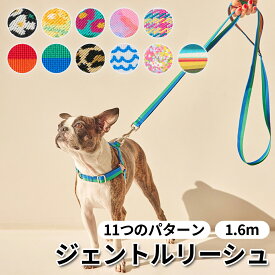 ★レビューイベント開催中★[iCANDOR] ジェントルリーシュ GENTLE LEASH 犬用リード ペットリード ドッグリード 小型犬用リード 中型犬用リード お散歩用リード 犬用アクセサリー レオパード LEOPARD BIG FISH ビッグフィッシュ ブラック ミント イエロー ミルキーウェイ
