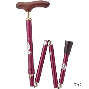 CtXebL XlbNin[LeBj^CiEFt@j010102