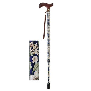 CtXebL Lk^X^Cv^ԃlCr[iEFt@j009714