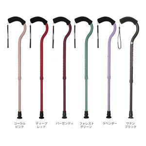 t~SN^tHXgO[itWz[jyʐLkXebL WB3883