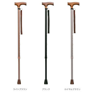 A~yʐLkX^Cv^CguEiC^[NXj0401-SS8811