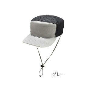 łwbhK[h U^CvibVLbv^Cv ˍޕt^CvjLTCY^O[iL^jKM-1000U