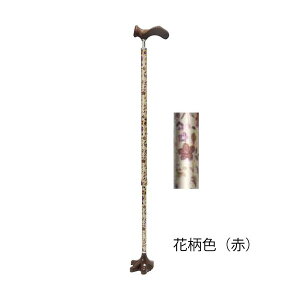 PAOXebLp^ԕFԁiPAOjC006