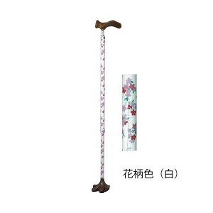 PAOXebLp^ԕFiPAOjC008