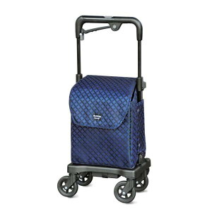 ACJ[gt[ZiCJo[tj^lCr[i{bAHƁjJ[g No.852