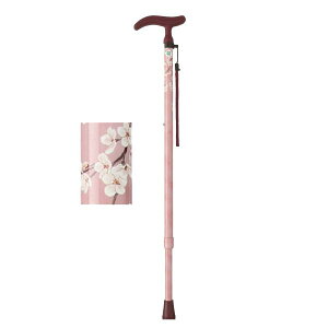 ANeBuEO[X LkS^sNitWz[jWB3750