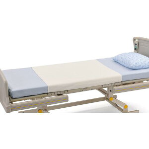 nri[X ƋzLV[c LTCY^N[isWj1005869 hV[c^Cv