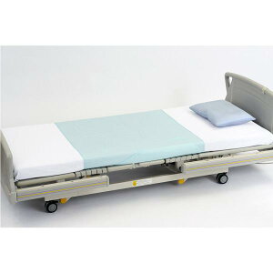 y2Zbgznri[X hV[c lp^ʁisWj1017229 hV[c^Cv