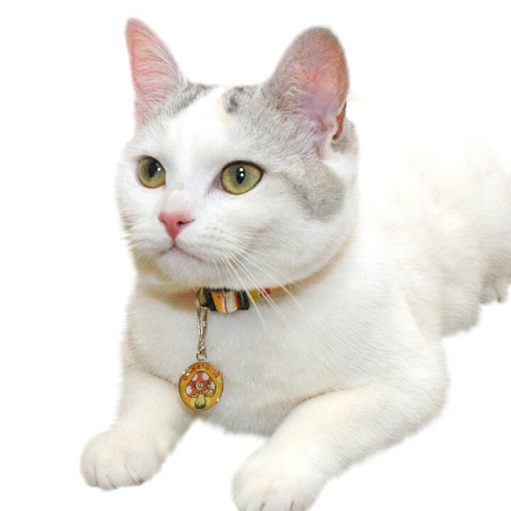 保障 セール 30 Off 犬 迷子札 名札 猫 ネームタグ きのこ Idog Icat メール便ok Shipsctc Org