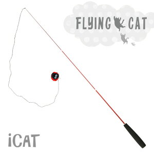 yL炵 ފƁz iCat FLYING CAT ނ肴L炵 ĂƂ{[ ACLbgyLp ybgObY ˂ lR L炵 ނ ˂炵zy L̂zyicatz