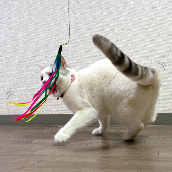楽天市場】【猫 おもちゃ】 iCat FLYING CAT 釣りざお猫じゃらし レインボーリボン【あす楽対応 翌日配送】【猫用おもちゃ ペットグッズ ねこ ネコ 猫じゃらし 釣り竿 釣竿】【プチプラおもちゃ 猫のおもちゃ】【icat i dog】 : iCat【猫首輪&猫グッズ】 楽天市場】【猫 おもちゃ】 iCat FLYING CAT 釣りざお猫じゃらし レインボーリボン【あす楽対応 翌日配送】【猫用おもちゃ ペットグッズ ねこ ネコ 猫じゃらし 釣り竿 釣竿】【プチプラおもちゃ 猫のおもちゃ】【icat i dog】 : iCat【猫首輪&猫グッズ】