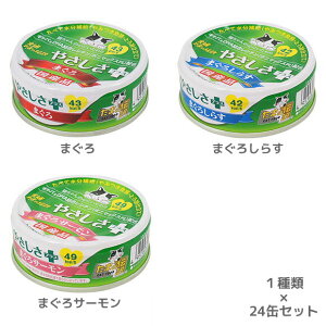 y{܂ŁI|Cg5{zy L Lbgt[h zvsA/Hʂ܂̓` 70g 24ʃZbgy Lbg t[h EFbgt[h Lpt[h a GT   ͂ Lp ʋl gg 