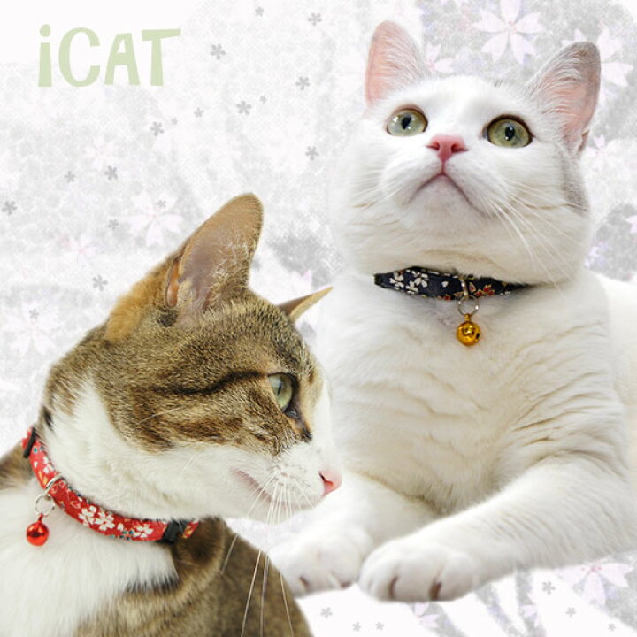楽天市場】【 猫 首輪 安全 】iCat カジュアルカラー 和柄 しだれ桜 