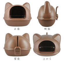 4方向より