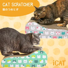iCatオリジナルつめとぎキャットフェイスアイキャット。