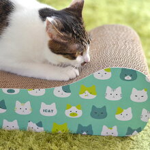 MIX3.2kgの百花ちゃん、バリバリと爪とぎ中