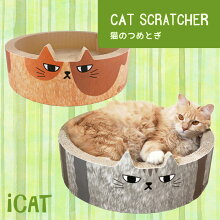 iCatオリジナル猫のくつろぎつめとぎふて猫アイキャット。
