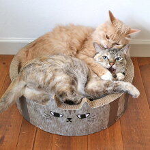 二匹だとちょっぴりキツそう