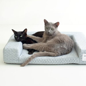 【シニア猫にやさしいベッド】床ずれしにくい、シニア猫用のケアベッドを教えて！