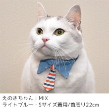 ボーダー柄ネクタイがスタイリッシュ