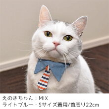 MIX4.0kgのえのきちゃんはライトブルーのSを着用