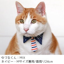 特別な日のおしゃれに