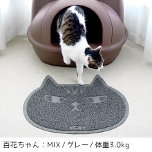 小さな猫砂も逃さずキャッチする構造