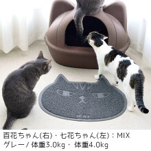 お手入れも簡単なラバー製