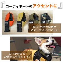 コーディネートのアクセントに