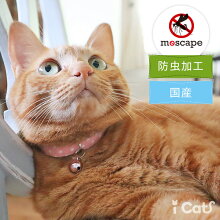 iCatmoscapeカジュアルカラードット防虫。