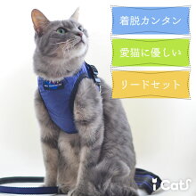 iCat猫用コンフォートハーネスリード付きICATEQUIPMENTアイキャット。