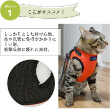 ここがオススメ