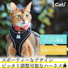 iCatソフトキャットハーネス単品アイキャット。