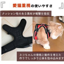 しっかり包み込むハーネス